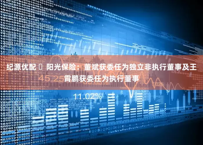 纪源优配 ​阳光保险：董斌获委任为独立非执行董事及王霄鹏获委任为执行董事
