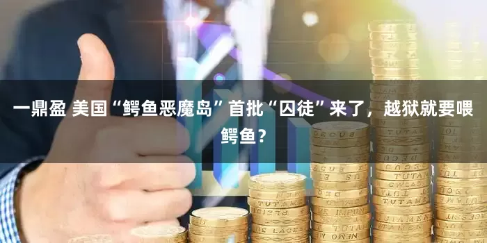 一鼎盈 美国“鳄鱼恶魔岛”首批“囚徒”来了，越狱就要喂鳄鱼？