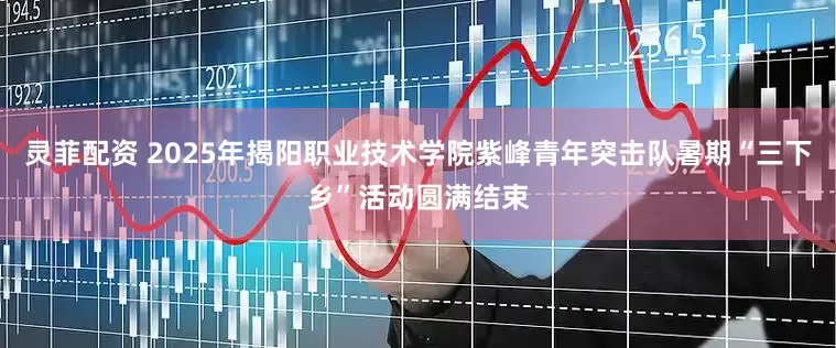 灵菲配资 2025年揭阳职业技术学院紫峰青年突击队暑期“三下乡”活动圆满结束