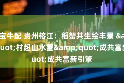 宝牛配 贵州榕江：稻蟹共生绘丰景 &quot;村超山水蟹&quot;成共富新引擎